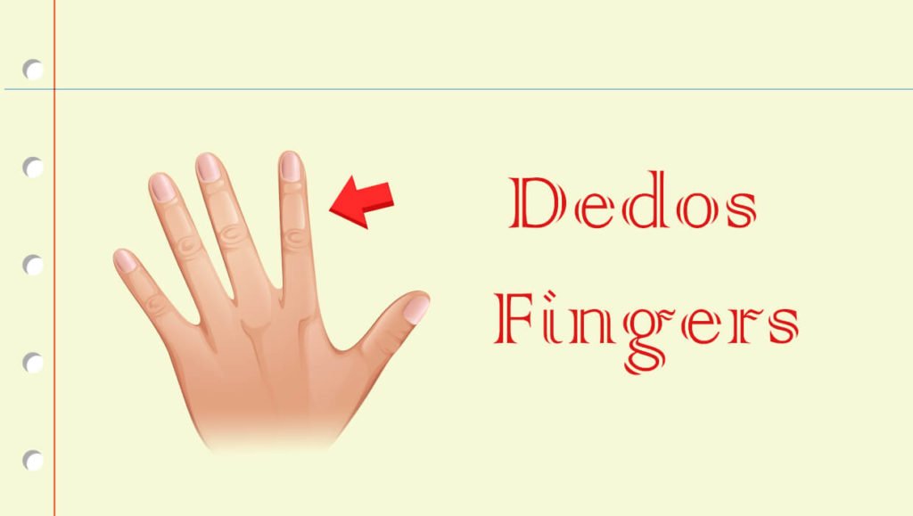 Nome dos dedos em Inglês